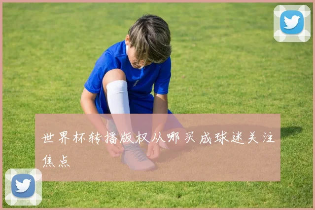 世界杯转播版权从哪买成球迷关注焦点