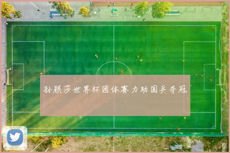 孙颖莎世界杯团体赛力助国乒夺冠