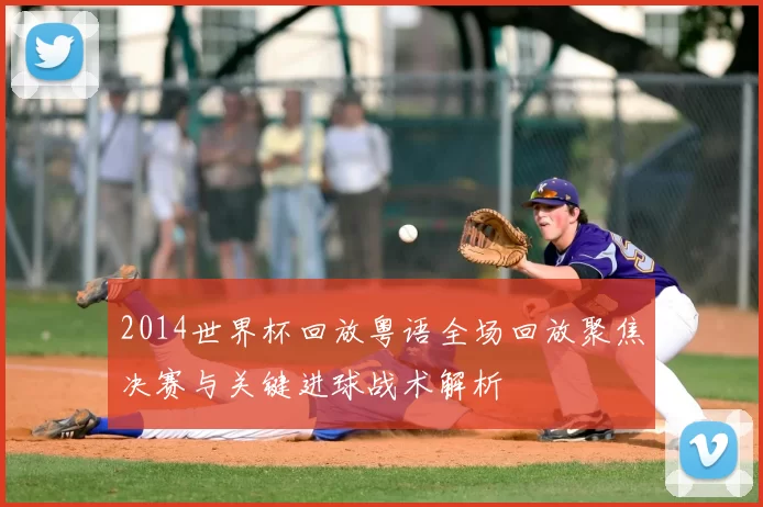 2014世界杯回放粤语全场回放聚焦决赛与关键进球战术解析