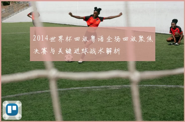 2014世界杯回放粤语全场回放聚焦决赛与关键进球战术解析